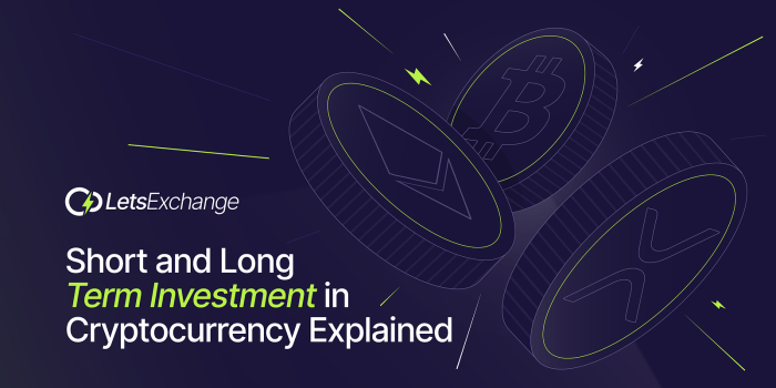 Long-term cryptocurrency investments