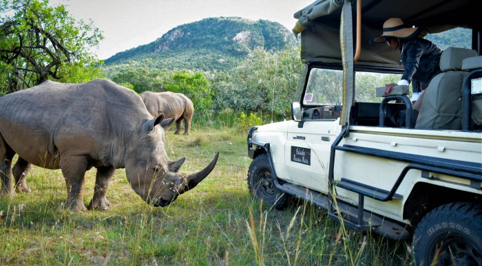 Zimbabwe luxury tours safari rustic experience