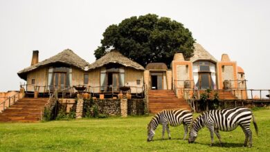 Luxury Safari Tours