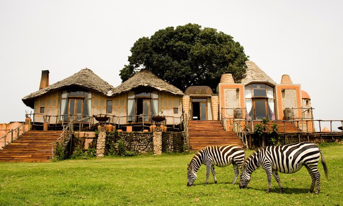 Luxury Safari Tours