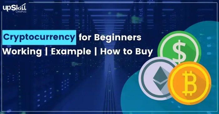 Best cryptocurrency for beginners in 2025