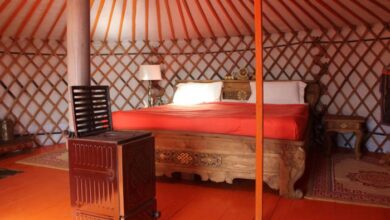 Best luxury ger camps in Mongolia offering nomadic experiences