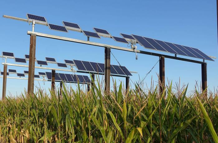 Renewable energy in agriculture