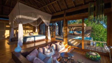 Best safari lodges in Botswana offering wildlife viewing opportunities