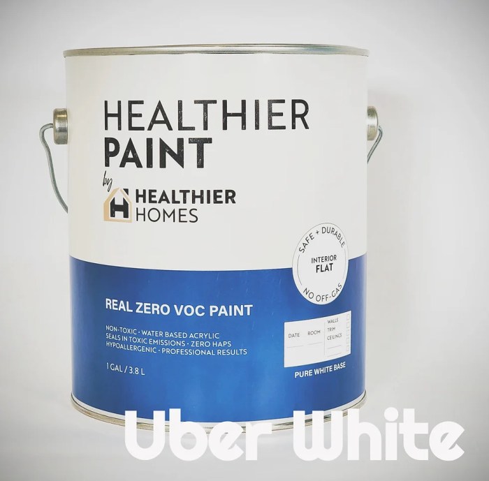 Non-toxic wall paint