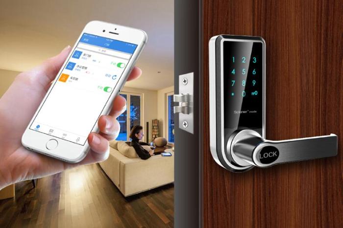 Smart Door Locks