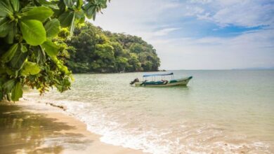 Best hotels in Honduras with stunning beach views and Caribbean charm