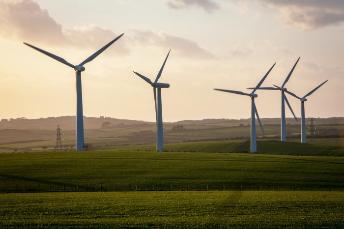 Wind turbines for small businesses