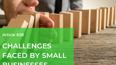 Challenges faced by small businesses in the British Virgin Islands economy