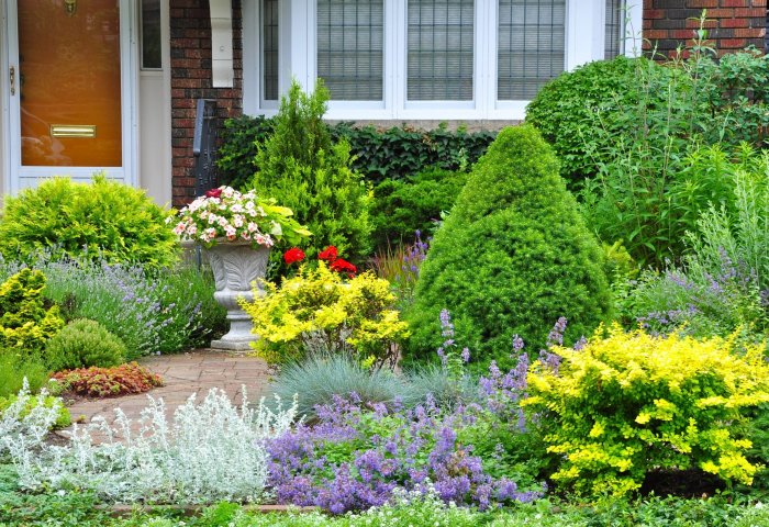 Landscaping ideas landscape sidewalk design idea outside front yard corner garden plants trees house backyard designs plant small tree walk